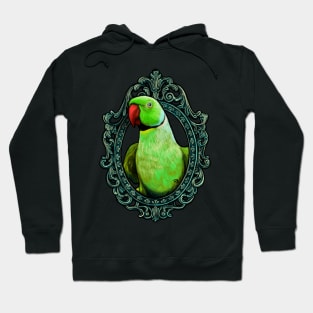 Parrot Cameo: Ringneck Parrot Hoodie